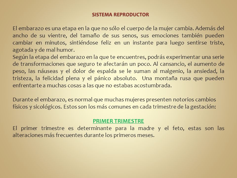 Cambios Anatomicos Y Fisiologicos En El Embarazo Download